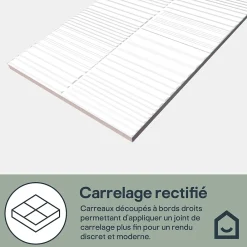 GoodHome Faïence Unie|Faïence Pour Wc<Faïence murale intérieur blanc brillant à motif L.60 x l.30 cm x ép.7 mm, Colville