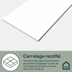 GoodHome Faïence murale intérieur blanc brillant L.60 x l.30 cm x ép.7 mm, Colville- Faïence Unie|Faïence Pour Douche