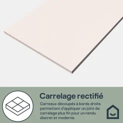GoodHome Faïence murale intérieur sable satiné L.60 x l.30 cm x ép.7 mm, Colville- Faïence Unie|Faïence Pour Douche