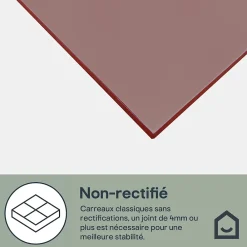 GoodHome Faïence Unie|Faïence Pour Douche<Faïence murale rouge L.60 x l.20 cm x ép.8,3 mm, Plain
