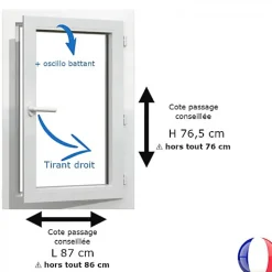 Gefradis Fenêtre PVC blanc 1 vantail hors tout H 76 x L 86 cm oscillo battant pour pose rénovation - tirant droit- Fenêtre Pvc