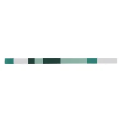 Listel Salerna vert 2 x 40 cm grés cérame émaillé- Listel Carrelage