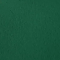 Décoweb Moquette - Stand Event - Vert sapin - 2 m x 10 ml- Moquette|Moquette