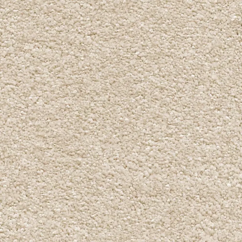 Décoweb Moquette chambre ou salon - Select - Beige clair - Echantillon 15 x 20 cm- Moquette|Moquette