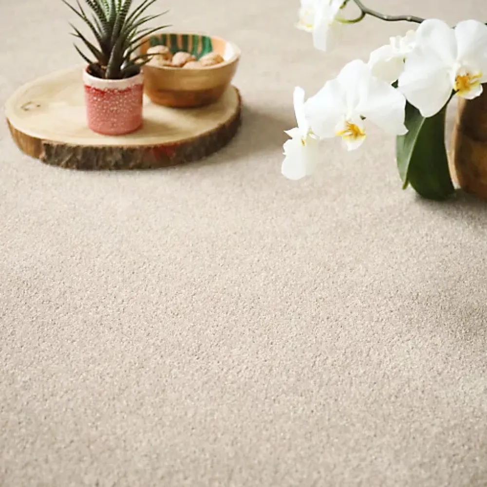Décoweb Moquette en polyester recyclé - Re-cycle - Beige - Echantillon 15 x 20 cm- Moquette|Moquette