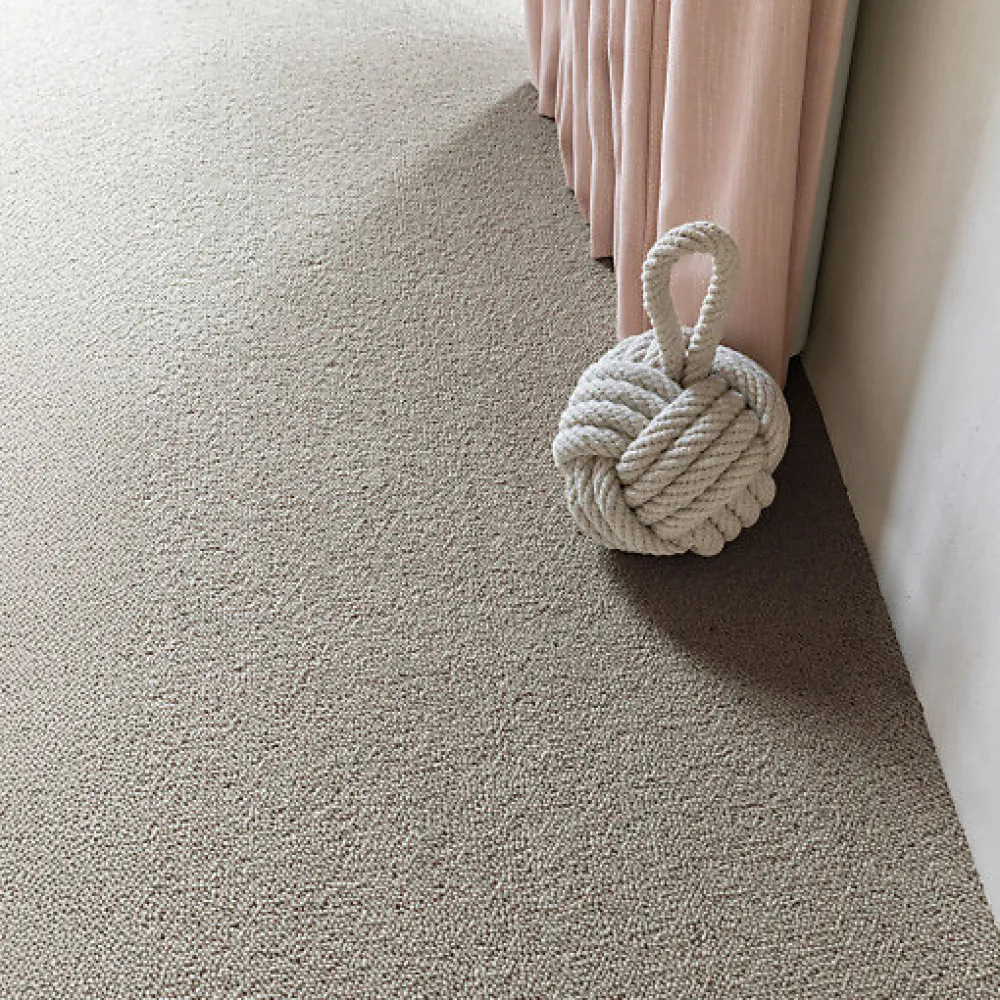 Décoweb Moquette pure laine vierge bouclée - Mallow - Grège - Rouleau de 4m x 12m- Moquette|Moquette
