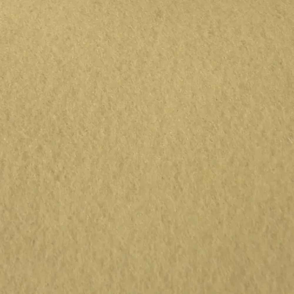 Décoweb Moquette Stand Expo - Beige - Rouleau de 2m x 11m- Moquette|Moquette