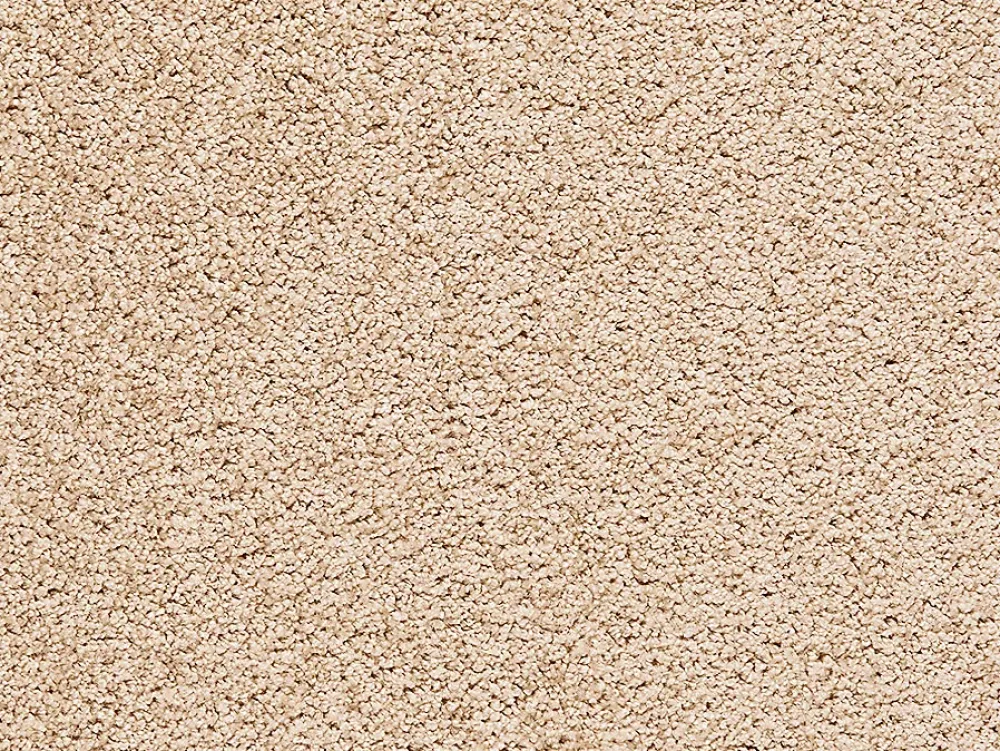 Moquette velours tendance Bliss beige 4m (vendue à la coupe)- Moquette|Moquette