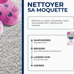 Starwax Nettoyeur à sec tapis et moquettes 500g- Nettoyant Moquette|Nettoyant Moquette