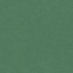 Produx Panneau Bois, Osb, Mdf<Panneau médium teinté dans la masse Forescolor vert 80 x 40,5 cm, ép.5 mm