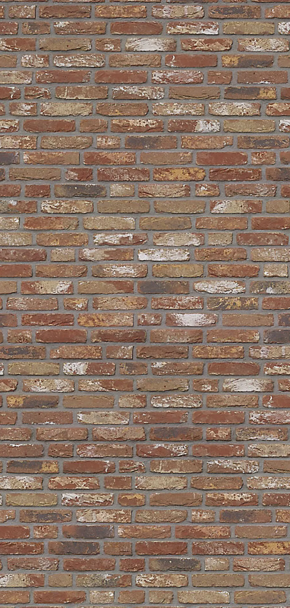Schulte Panneau Mural De Salle De Bains<Panneau mural de salle de bains l.100 x H.210 cm, effet brique industrielle rouge, Décodesign vendu par 2