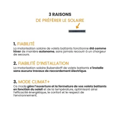 Bubendorff Panneau photovoltaïque noir pour volet battant solaire- Volet Battant