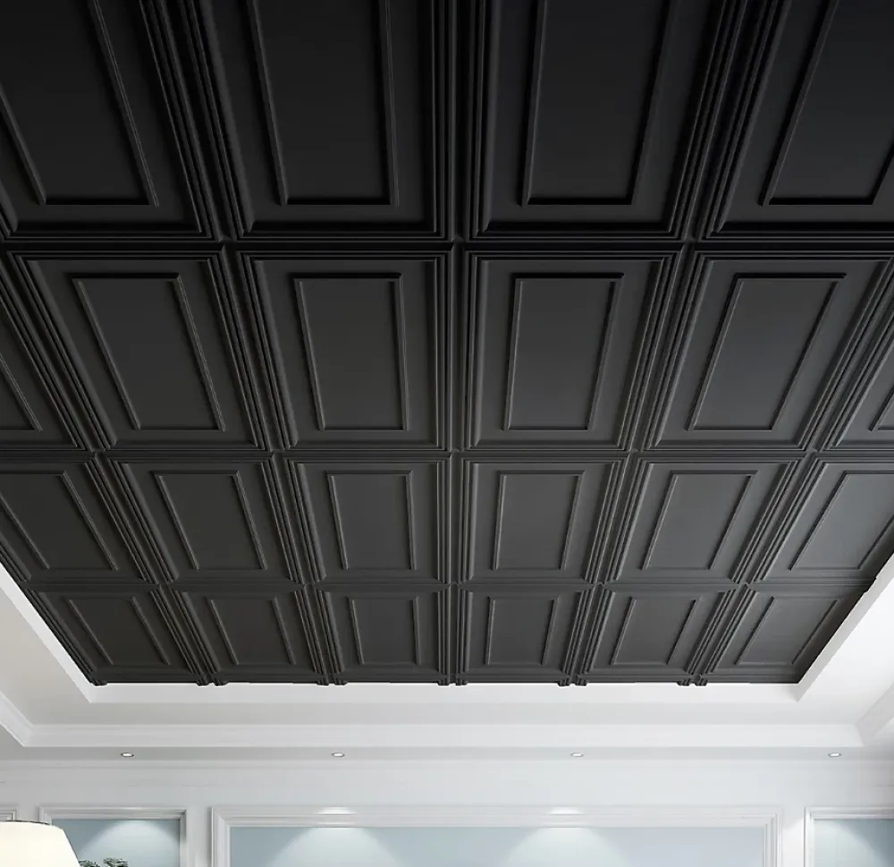 Deccart Panneaux de plafond et panneaux muraux Decoratif Rama Noir 10m² / 20pièces- Panneau Mural Décoratif