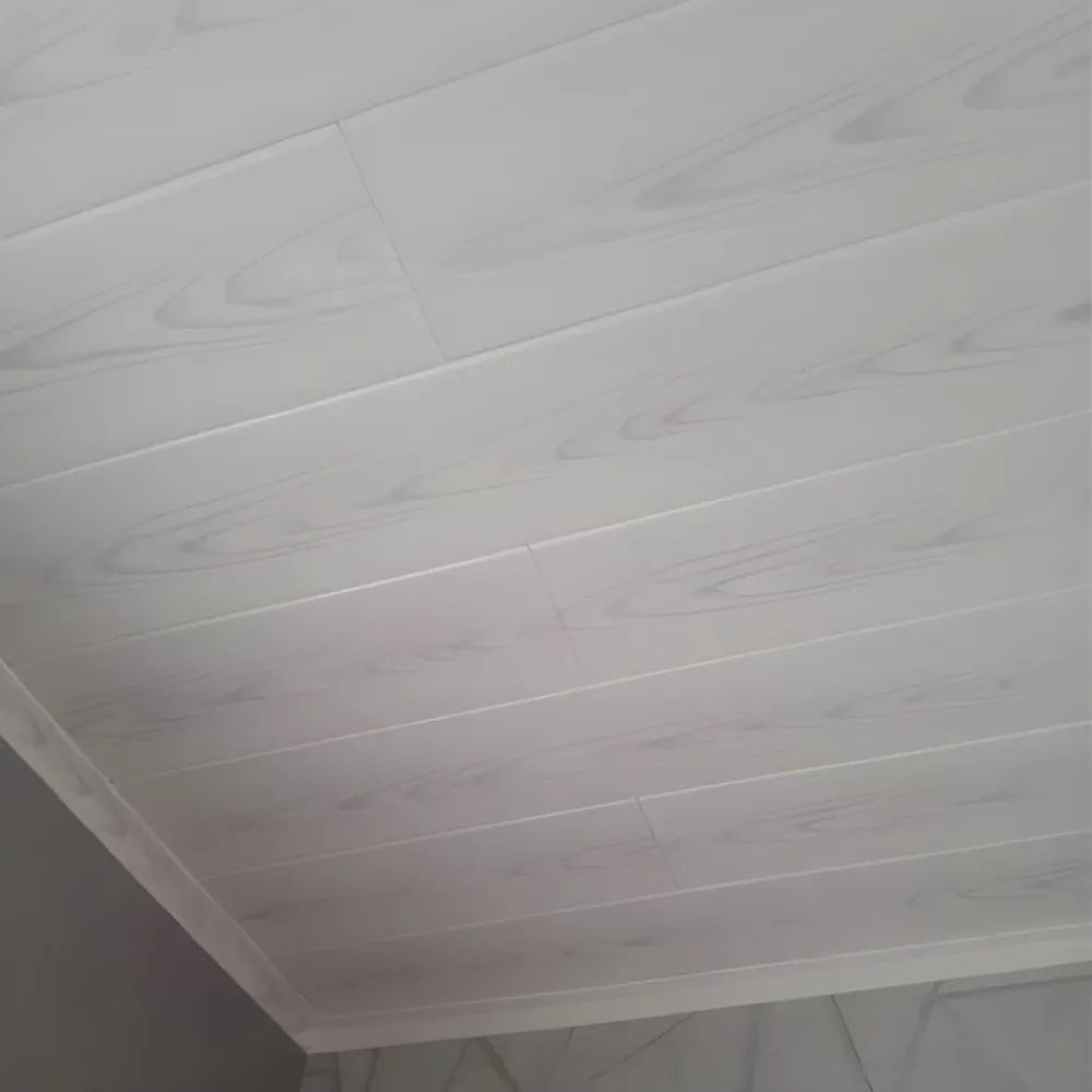 Deccart Panneau Mural Décoratif<Panneaux de plafond et panneaux muraux Decoratif P02 2m² / 12pièces