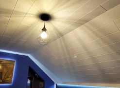 Deccart Panneaux de plafond et panneaux muraux Decoratif P08 2m² / 12pièces- Panneau Mural Décoratif