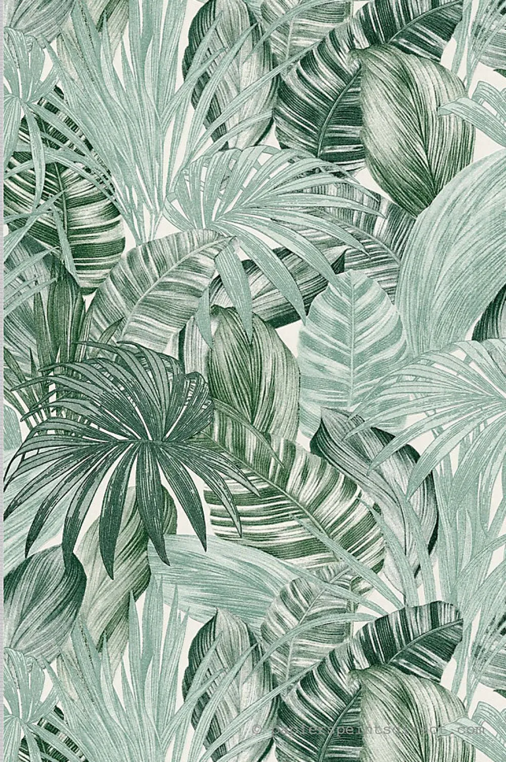 A.S. Creation Papier peint expansé sur intissé Jungle L.10.05 x l.0.53 m. - Réf. SP15010- Papier Peint