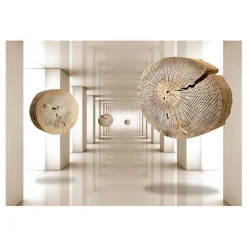 Planete Discount Papier Peint Panoramique<Papier peint intissé panoramique 3d et perspective cercles de bois volants 350x245 cm