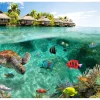 Planete Discount Papier peint intissé panoramique animaux under the surface of water 350x245 cm- Papier Peint Panoramique