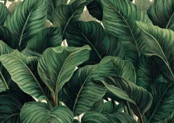Wallarena Papier Peint Panoramique Intissé Feuilles Jungle Vert - 350x250 cm - Papier Peint Chambre et salon- Papier Peint Panoramique