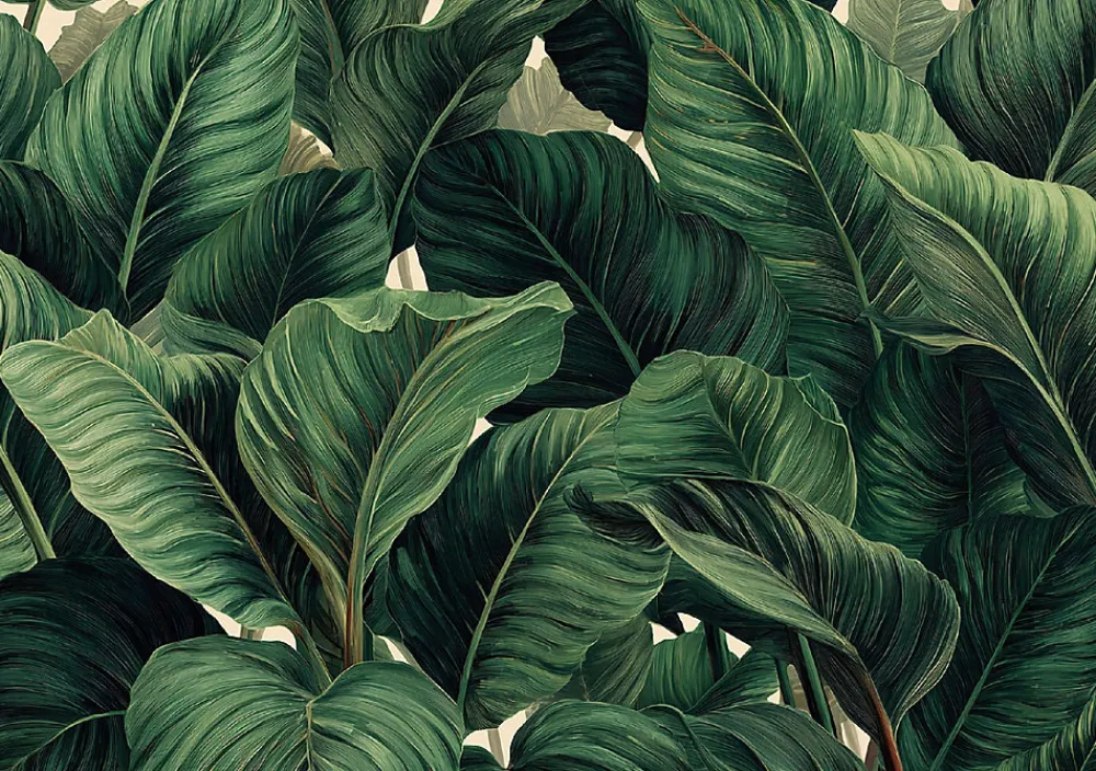 Wallarena Papier Peint Panoramique Intissé Feuilles Jungle Vert - 350x250 cm - Papier Peint Chambre et salon- Papier Peint Panoramique