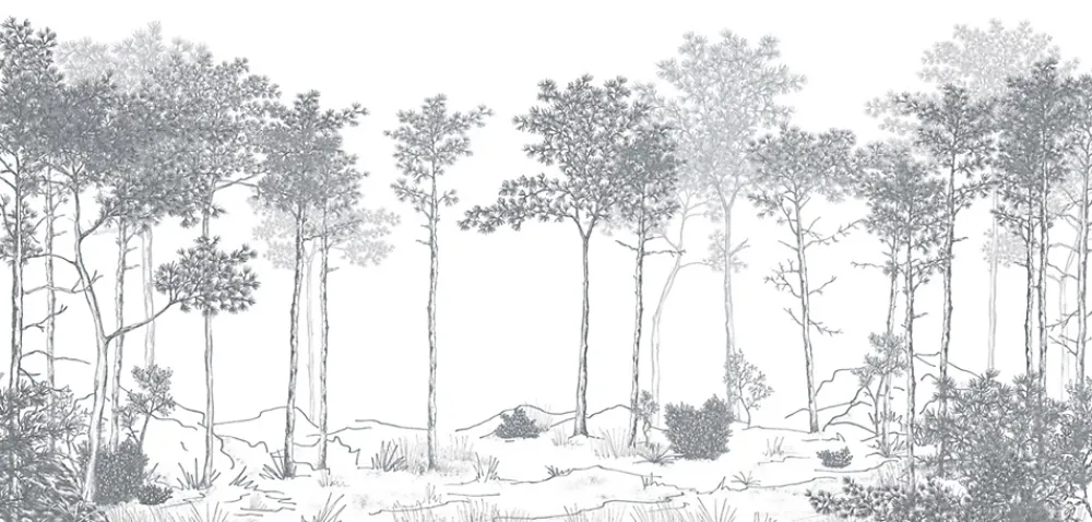 Acte Déco Papier peint panoramique Balade dans les bois, Gris 150 x 250cm- Papier Peint Panoramique