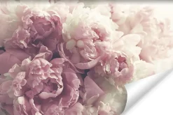 Muralo Papier Peint Photo Intissé FLEURS Pivoines Roses Pour La Chambre 450cm x 300cm- Papier Peint Panoramique