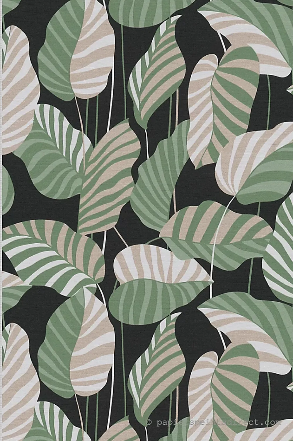 A.S. Creation Papier Peint<Papier peint vinyle sur intissé Jungle L.10.05 x l.0.53 m. - Réf. SP15944