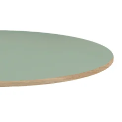 Restootab Plateau rond 120cm couleur vert celadon chants imitation bois -- Panneau Bois, Osb, Mdf