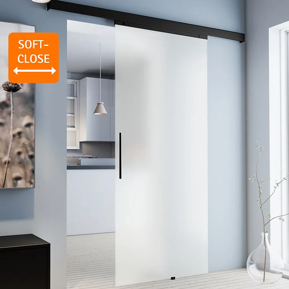 Schulte Porte Coulissante Complète 90x203 - Rail Noir -porte Vitrée - Verre Sablé - Poignée Barre-double Softclose- Porte Coulissante