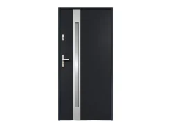 Vente-unique Porte D'Entrée<Porte d'entrée en acier vitrée avec inox H207 x L100 cm - verre dépoli - anthracite - épaisseur 55 mm - poussant droit - BRAGA