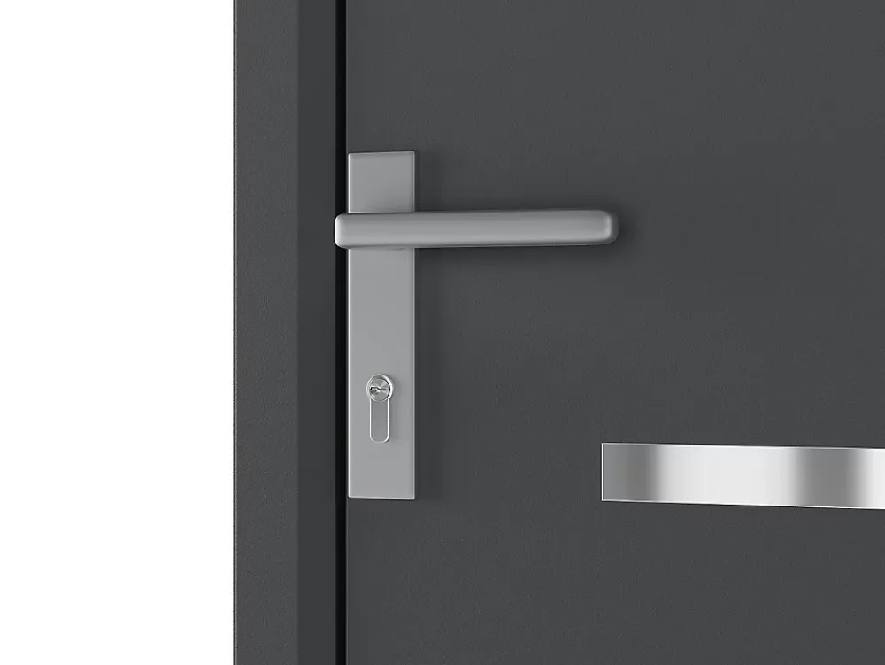 Vente-unique Porte d'entrée en aluminium H218 x L96 cm anthracite - épaisseur 65 mm - poussant droit - AMARES- Porte D'Entrée