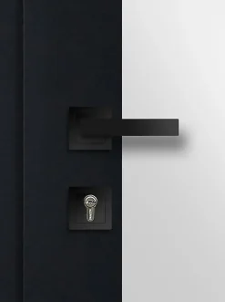 Fortia Porte D'Entrée<Porte d'entrée acier Kribi 96 x h.218 cm poussant droit