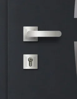 Fortia Porte D'Entrée<Porte d'entrée acier gris RAL 7016 Valtos 96 x h.218 cm poussant gauche