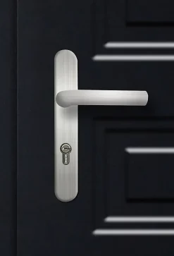 Fortia Porte d'entrée acier Mamaia 96 x h.218 cm poussant droit- Porte D'Entrée
