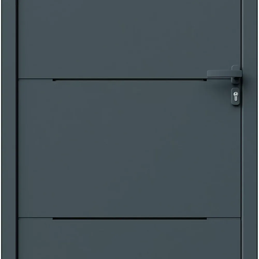 Fortia Porte D'Entrée<Porte d'entrée alu Leme gris RAL 7021 96 x h.218 cm poussant gauche