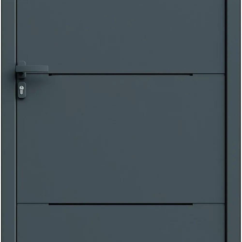 Fortia Porte D'Entrée<Porte d'entrée alu Leme gris RAL 7021 96 x h.218 cm poussant droit