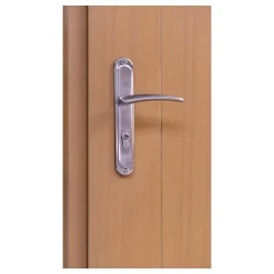 Fortia Porte D'Entrée<Porte d'entrée bois Anaklia 98 x h.218 cm poussant droit