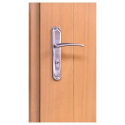 Fortia Porte d'entrée bois Anaklia 98 x h.218 cm poussant gauche- Porte D'Entrée