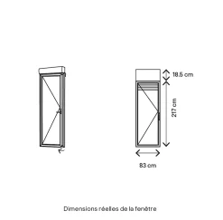 GoodHome Porte fenêtre alu 1 vantail + volet roulant électrique gris - l.80 x h.215 cm, tirant gauche- Porte-Fenêtre En Aluminium