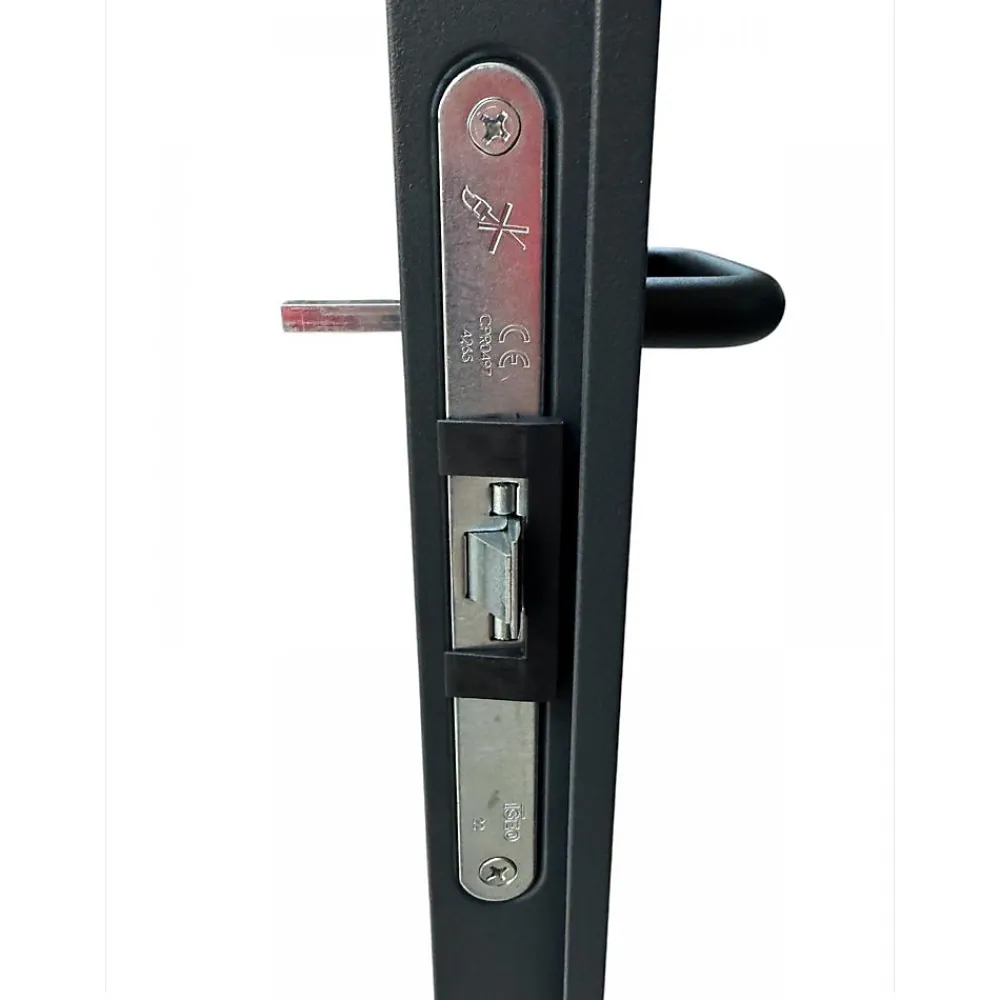4M Porte Métallique Industrielle Coupe Feu 1H Réversible L1100 H2150 RAL9010 En Applique- Porte De Service