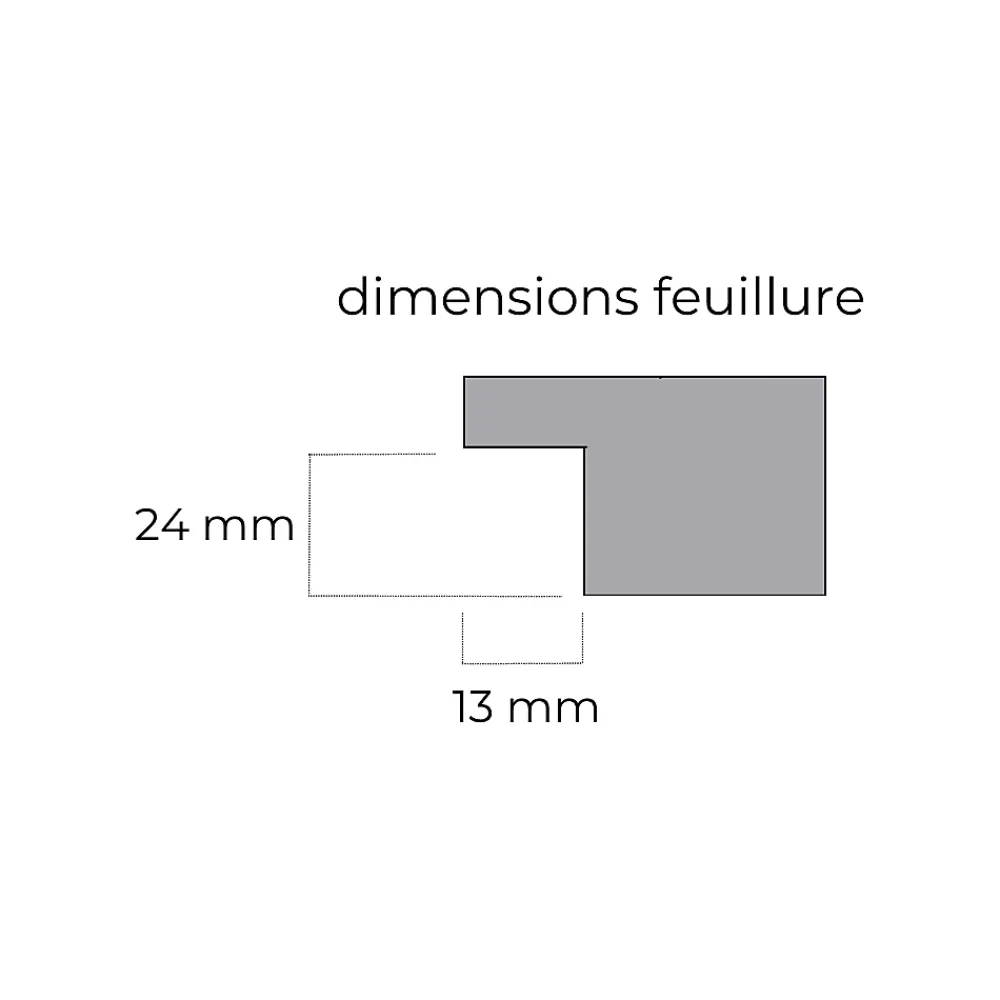 Reivilo Porte nue, sans cadre, bois Bouleau Access : 2 carreaux, 83 cm à recouvrement- Bloc Porte