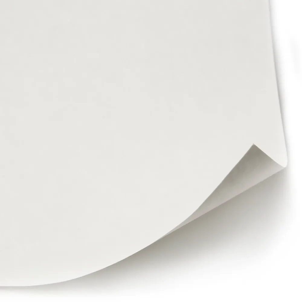 Diall Fibre De Verre<Revêment de rénovation sur intissé blanc 15m 120g/m²