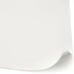 Diall Fibre De Verre<Revêtement de rénovation lisse à peindre thermique 300g/m² L.10 m (Vendu au rouleau)