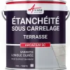 Arcane Industries Résine d'étancheite sous carrelage extérieur pour support avec pente - ARCAFILM SC Gris - 2.5 L -- Ragréage Et Primaire Pour Carrelage