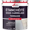 Arcane Industries Résine d'étancheite sous carrelage extérieur pour support avec pente - ARCAFILM SC Gris - 10 L -- Ragréage Et Primaire Pour Carrelage