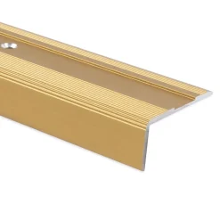 Floordirekt Profilé De Rénovation De Marche<Seuil d'escalier Glory Aluminium anodisé Forme: L Or élégant S 90 cm