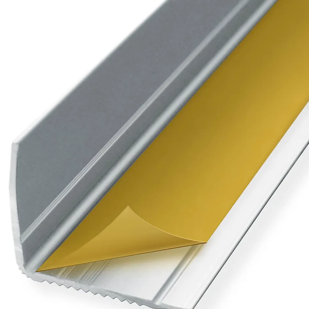 Floordirekt Seuil d'escalier Integral, Forme: L 35 x 30 mm Longueur: 100 cm, Auto-adhésif, Argent- Profilé De Rénovation De Marche