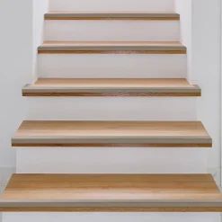 Floordirekt Profilé De Rénovation De Marche<Seuil d'escalier Pré-percé, Forme: L 30 x 20 mm, Longueur: 100 cm, Champagne