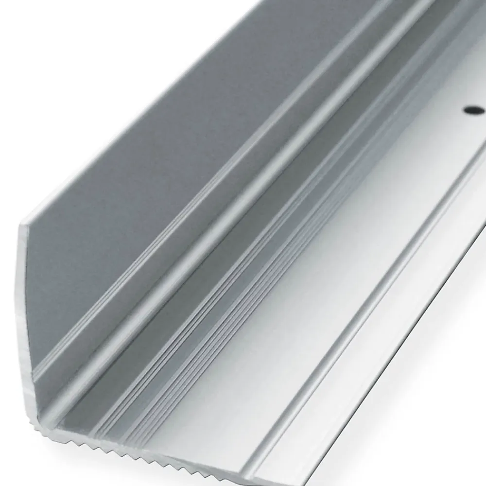 Floordirekt Seuil d'escalier Pré-percé, Forme: L 30 x 20 mm, Longueur: 100 cm, Argent- Profilé De Rénovation De Marche