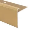 Floordirekt Profilé De Rénovation De Marche<Seuil d'escalier Safety Forme: F Aluminium anodisé Or élégant S 90 cm